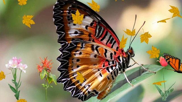 ФУТАЖ - КРАСИВАЯ ПРИРОДА