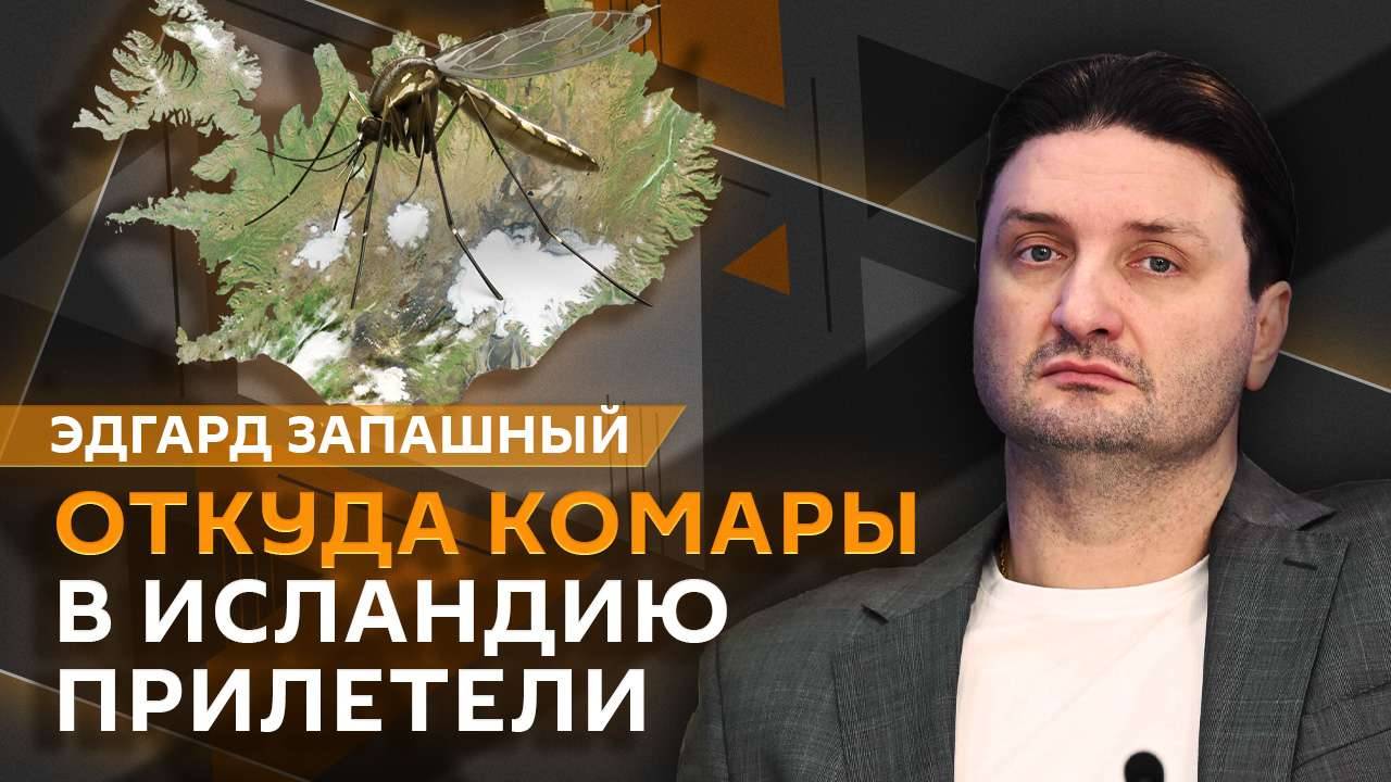 Эдгард Запашный и Нина Ватт. Олимпиада с крокодилами, птичий грипп, ритуалы с животными