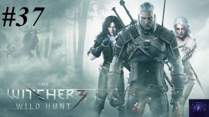 Прохождение Ведьмак 3: Дикая охота вместе с дочкой, видео №37 - Таинственные следы