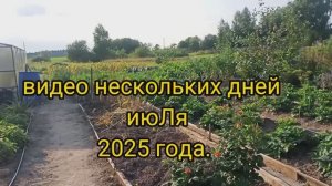 июль 2025/два дня чего то наснимала