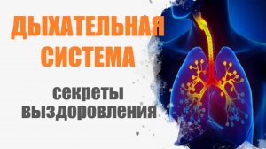 Секреты выздоровления. Дыхательная система