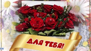 Шикарная Видеооткрытка 🌟 Всё Для Тебя🌟