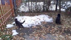 По новым местам.