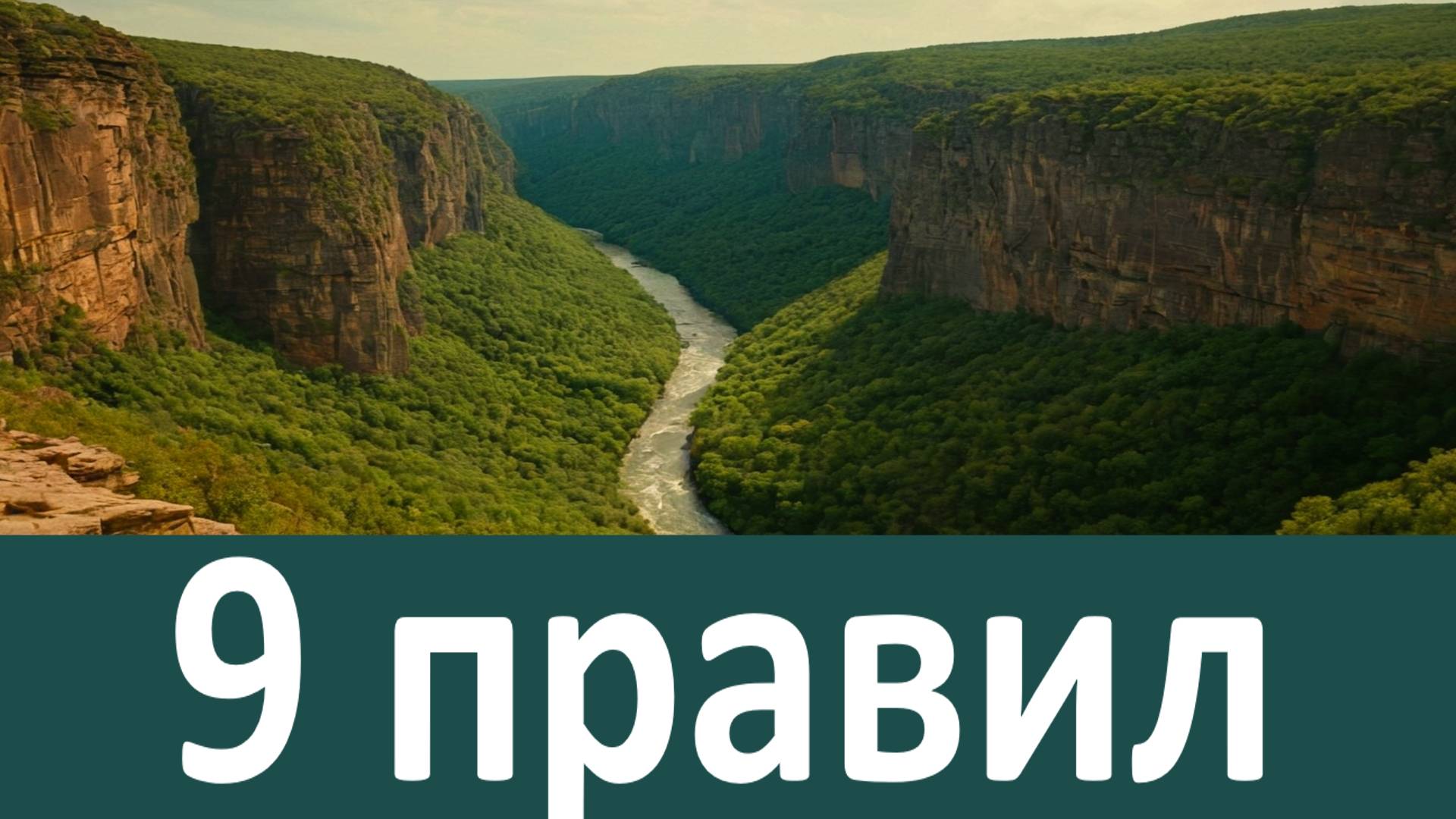 ВСЕ НАЛАДИТСЯ В ЖИЗНИ! Николай Сербский смотреть онлайн