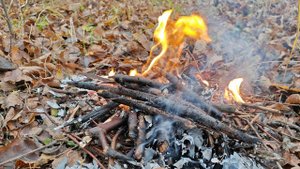 Всё плохое нужно забывать