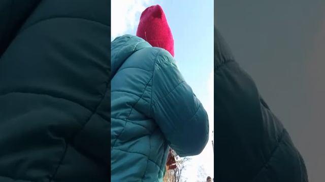 пр смотреть онлайн