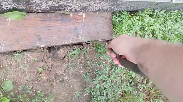 05-08-2025 Обсыпка песком теплици и докладка тротуарной плитки смотреть онлайн