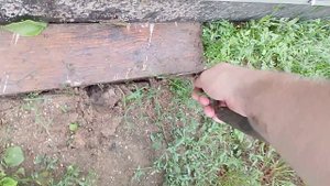 05-08-2025 Обсыпка песком теплици и докладка тротуарной плитки