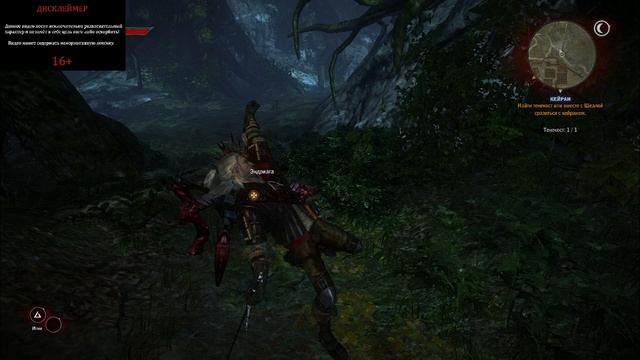 ПРОХОЖДЕНИЕ ВЕДЬМАК 2 УБИЙЦЫ КОРОЛЕЙ №8 УБИЙСТВО КЕЙРАНА