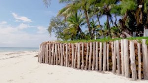 Диани Coconat beach