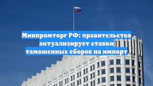 Минпромторг РФ: правительство актуализирует ставки таможенных сборов на импорт