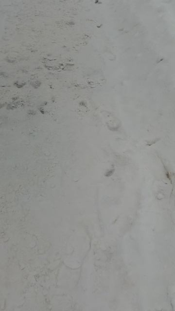 №209. ул. Газеты Звезда. 10 марта 2025 г., 10:03:30. VID_20250310_100039311