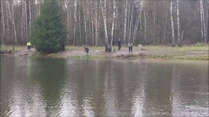 Работает как пассив, так и актив. Клёвое место, Лосиный остров, нижний водоём.
