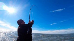 Не ожидал такого! Весь судак вышел на мель. Рыбалка на спиннинг