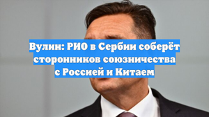 Вулин: РИО в Сербии соберёт сторонников союзничества с Россией и Китаем