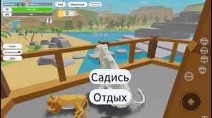 кошки