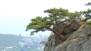 Крым. Ялтинские водопады. Учан Су и Темиар.