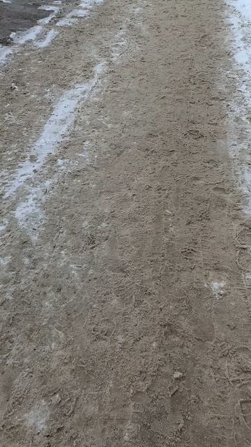 №200. Двор Г. Звезда 73 - Красноармейская 52. 5 марта 2025 г., 14:58:13. VID_20250305_145619646