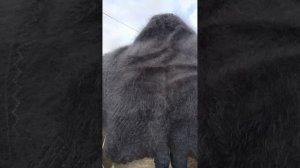 1000220669.mp4Скидочки.т.89020931602