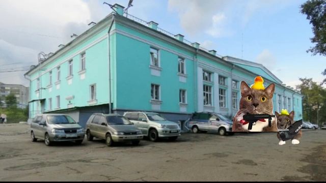 кошачий ГТА эпизод второй