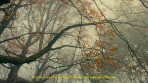 Fog   FilmVision V2