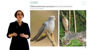 Красная книга Москвы.