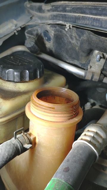 VID_20251018_150414 смотреть онлайн