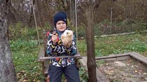 Каникулы в школе, приехал к бабушке в деревню! 25-10-2025