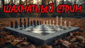 Шахматный стрим за новичка [ lichess.org ]