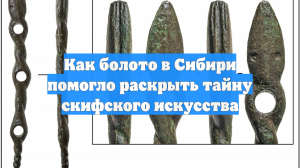 Как болото в Сибири помогло раскрыть тайну скифского искусства
