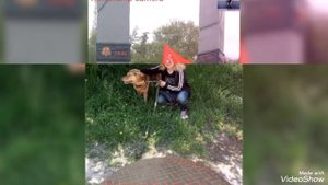 Мариуполь ⛵ ВАШ БЛОГЕР, снимаю о городе о жизни о своих 🐈🐈🐈. Подписчикам ♥️спасибо,что смотрите