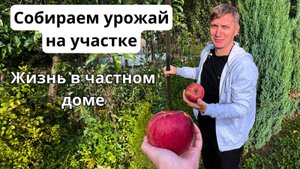 Собираем последний урожай на участке/ НАША ЖИЗНЬ ЗА КАДРОМ/ Готовим соки из овощей