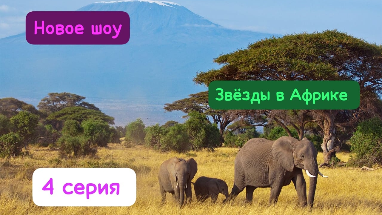 Новое шоу .Звёзды в Африке 4 выпуск.