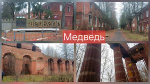 Путешествие во времени. Медведь, Ч. 1