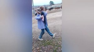 Video.Guru_20251026_180401622.mp4