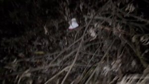 Street-tyr (РУМ ТУР ПО МОЕЙ Детской площадке)