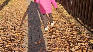 Носочки,кот Валера,кормим уточек.