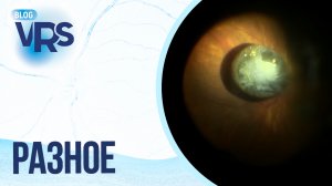 Вопросы на различные темы