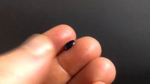 Сапфир натуральный 1,71кт №548