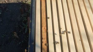 Улей 26 октября 2025