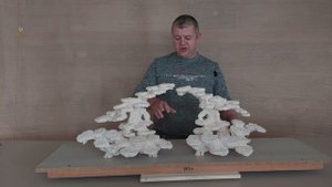 КДС -370 Комплект декораций из биокерамики для морского аквариума.