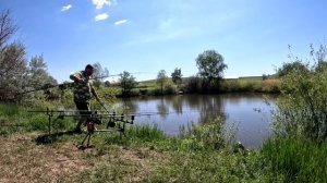 Поклевка и вываживание карпа.