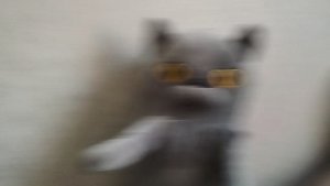 я попал в школу блогера