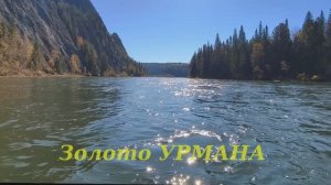 Золото Урмана - 2025