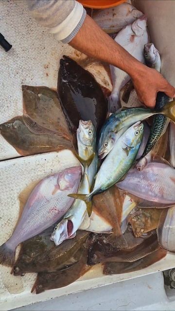 Морская рыбалка во Владивостоке 79147374096