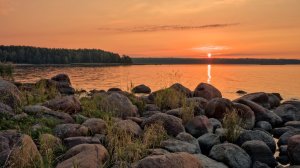 И на камнях растут деревья (Подберёзовый остров)