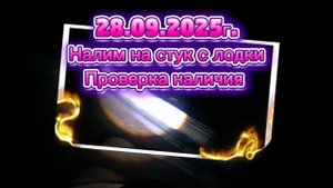 НАЛИМ НА СТУК.ПРОВЕРКА НАЛИЧИЯ СКОЛЬЗКОГО. #налим #налимнастук #налимслодки #recommended #рекомендац