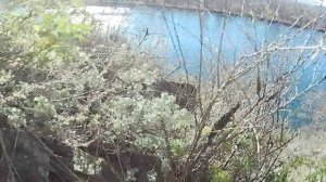 Штольня Часть 1 22.10.2025