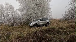 ДЕНЬ АВТОМОБИЛИСТА НА ПРИРОДЕ. Алтайский край