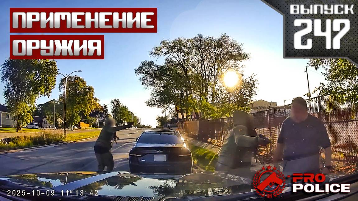 Применение оружия полицейскими: Автохам [Выпуск 247 2025] смотреть онлайн